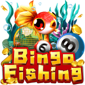 Câu Cá Bingo pp881 abb